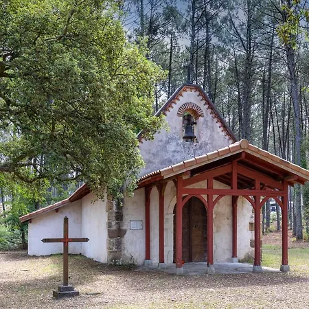 Maison Traditionnelle En Bois *
